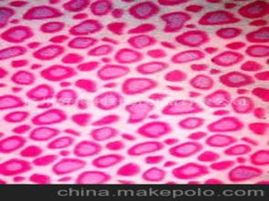 毛巾针纺织品供应商、价格与批发市场全攻略